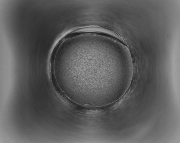 X0000116100342200911231130