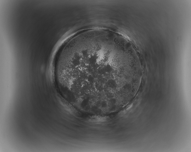 X0000116100343200911231130