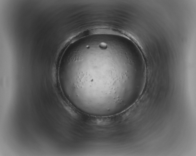 X0000116100345200911231130