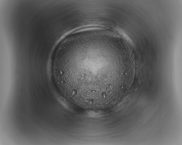 X0000116100346200911231130