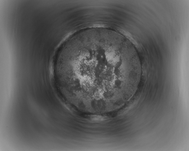 X0000116100347200911231130