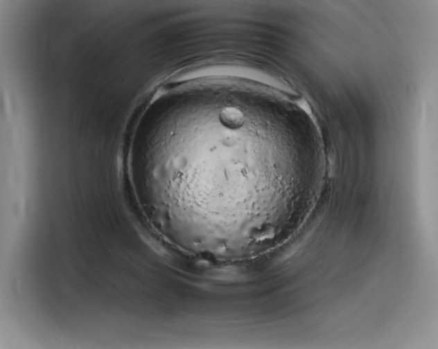 X0000116100349200911231130
