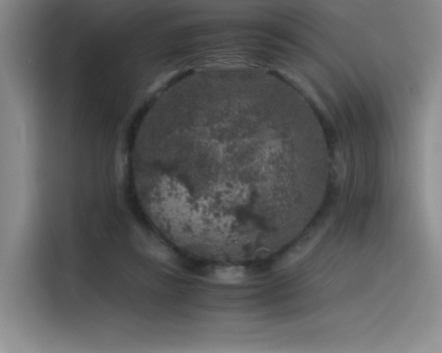 X0000116100355200911231130