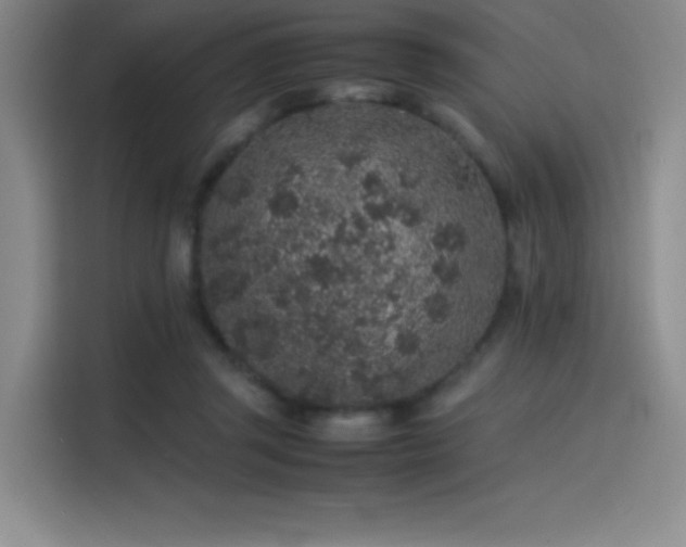 X0000116100357200911231130