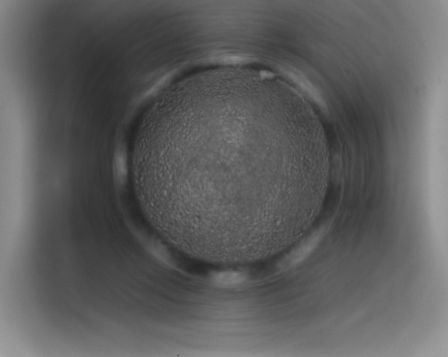 X0000116100358200911231130