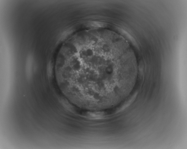 X0000116100359200911231130