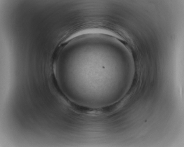 X0000116100362200911231130