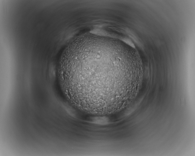 X0000116100363200911231130