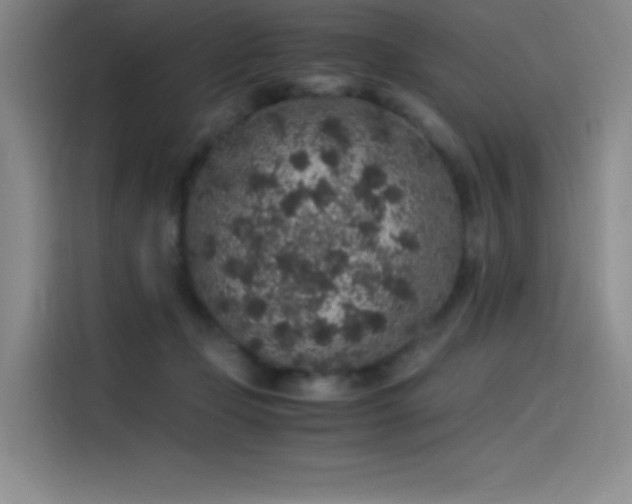 X0000116100365200911231130