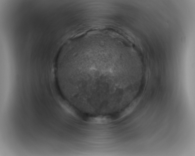 X0000116100366200911231130