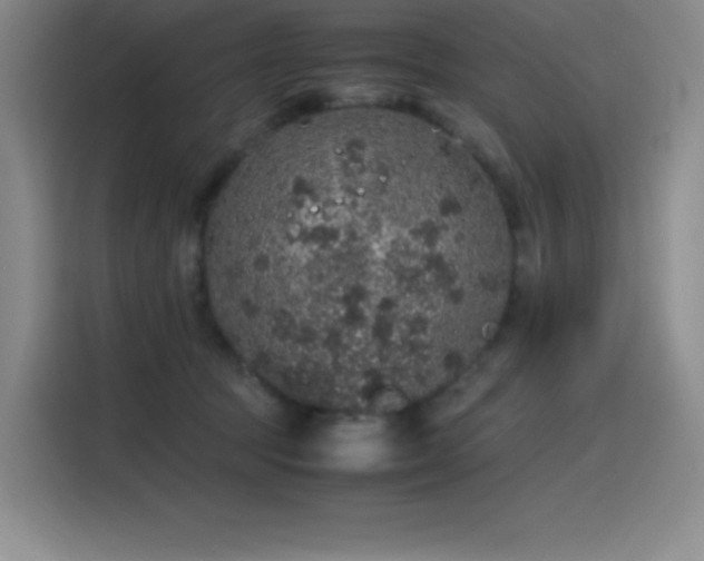 X0000116100369200911231130