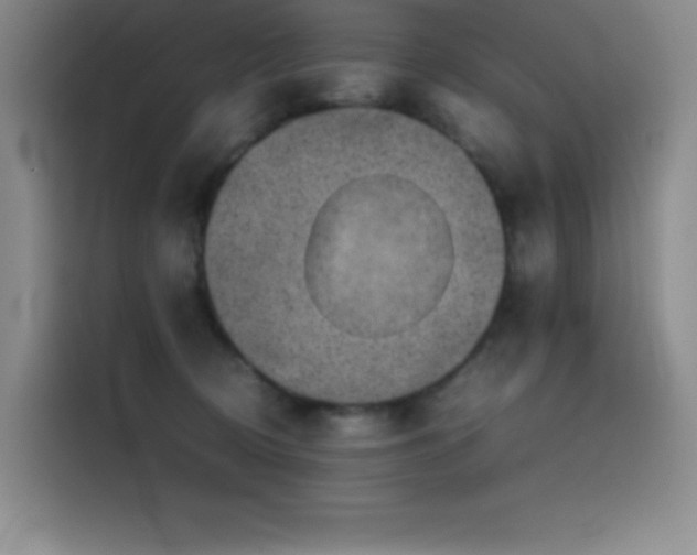 X0000116100370200911231130