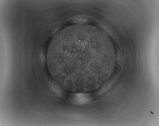 X0000116100371200911231130