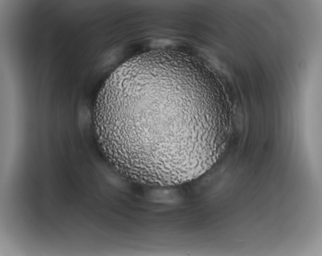 X0000116100375200911231130