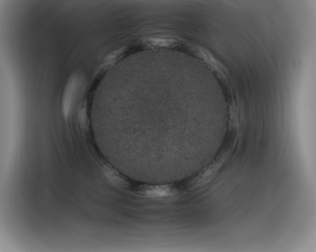 X0000116100377200911231130