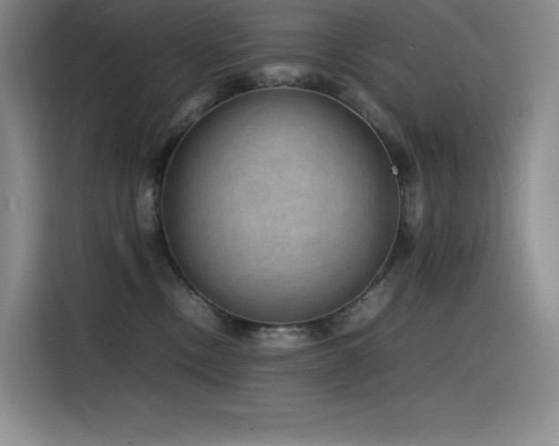 X0000116100378200911231130