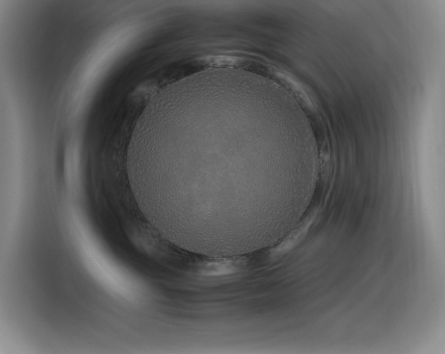 X0000116100381200911231130