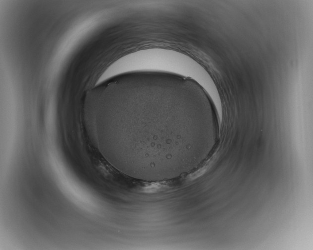 X0000116100382200911231130