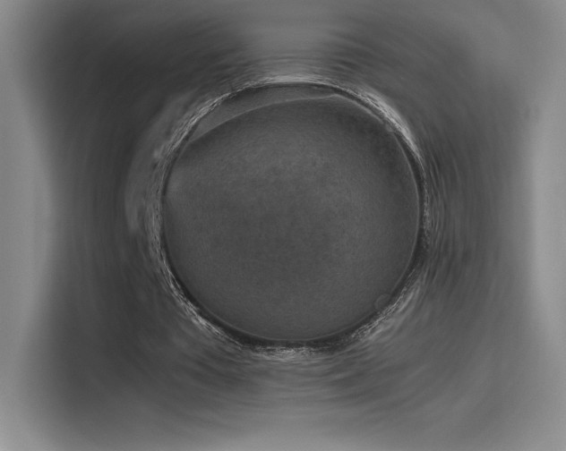 X0000116100385200911231130