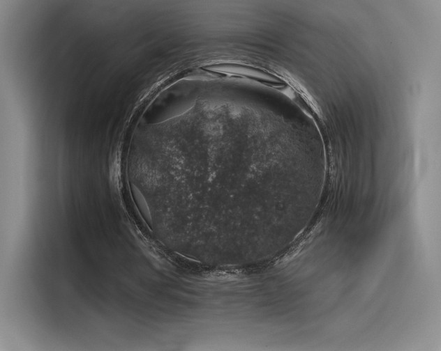 X0000116100386200911231130