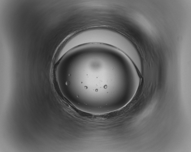 X0000116100387200911231130