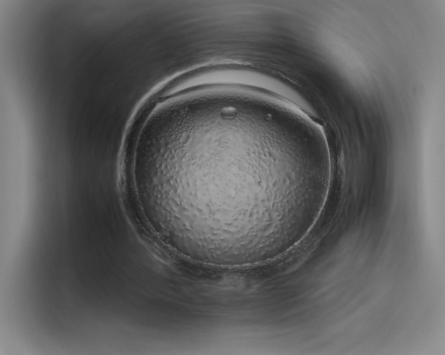 X0000116100388200911231130