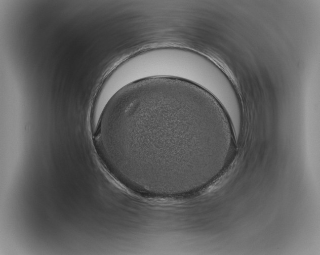 X0000116100389200911231130