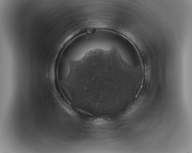 X0000116100390200911231130