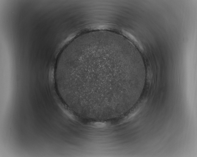 X0000116100394200911231130