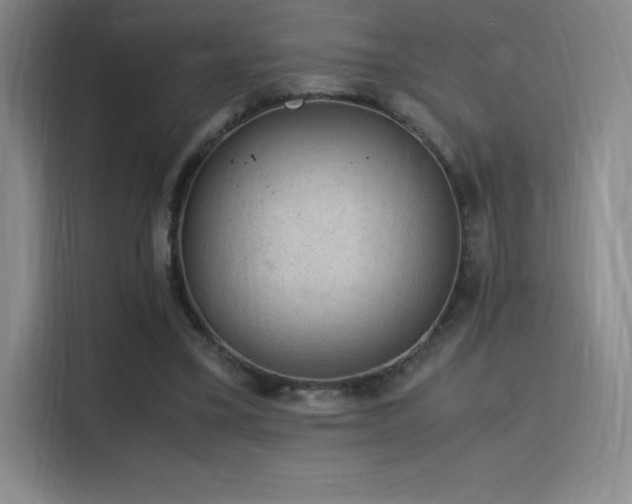 X0000116100395200911231130