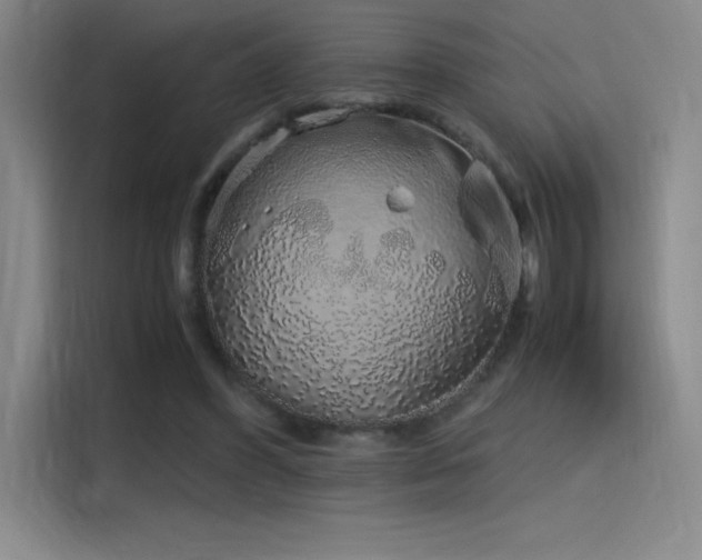 X0000116100396200911231130