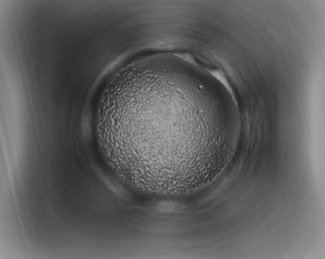 X0000116100400200911231129