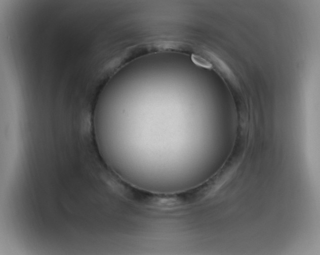 X0000116100401200911231129