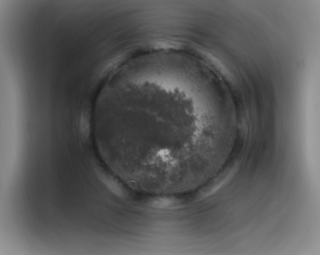 X0000116100402200911231129