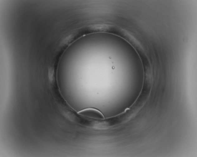 X0000116100403200911231129