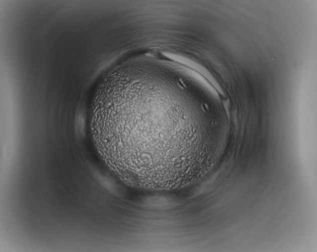 X0000116100404200911231129