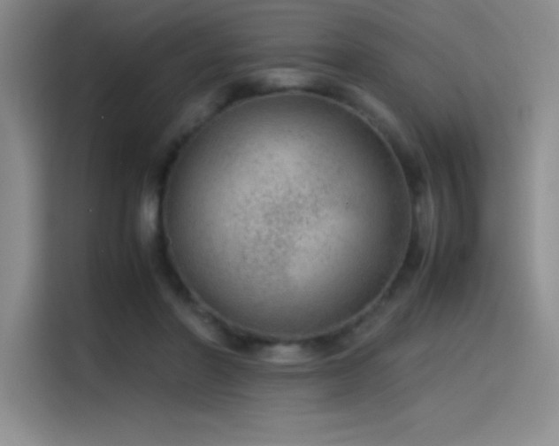 X0000116100406200911231129
