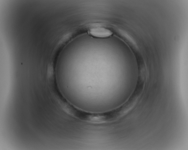 X0000116100407200911231129