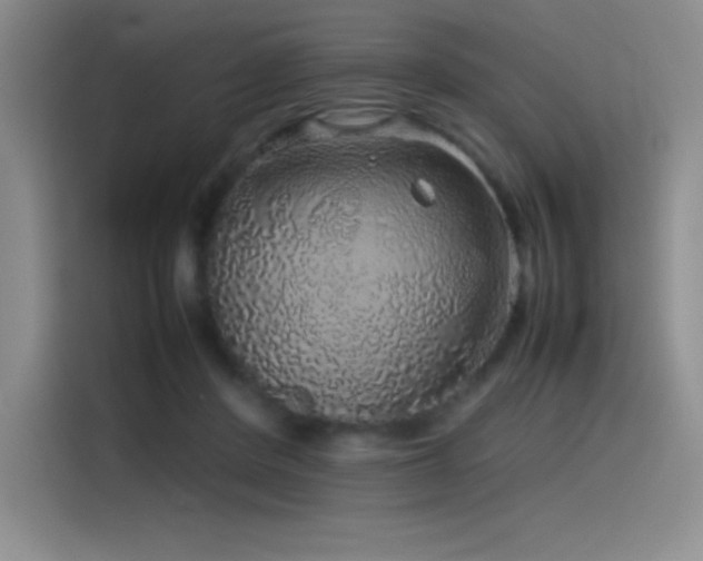 X0000116100408200911231129