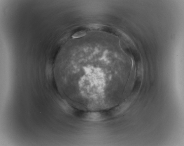 X0000116100409200911231129