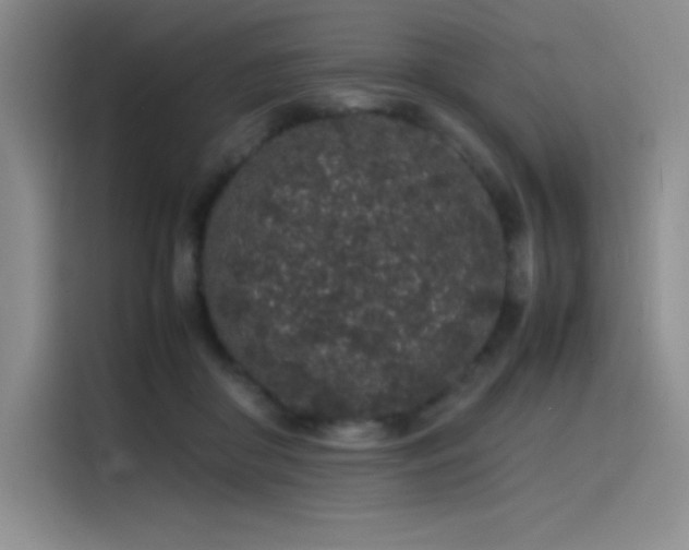 X0000116100410200911231129