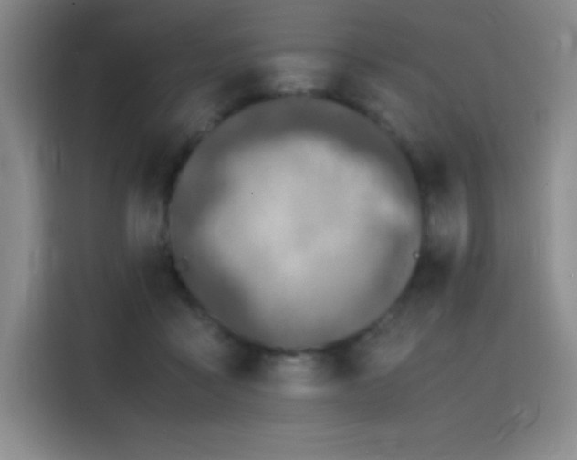 X0000116100411200911231129