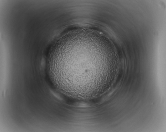 X0000116100412200911231129