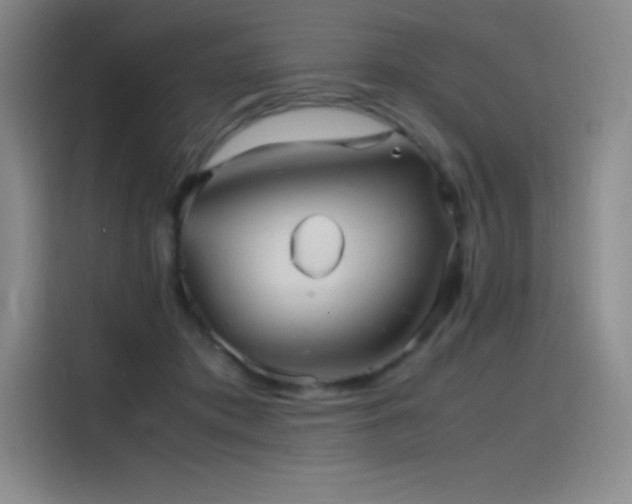 X0000116100413200911231129