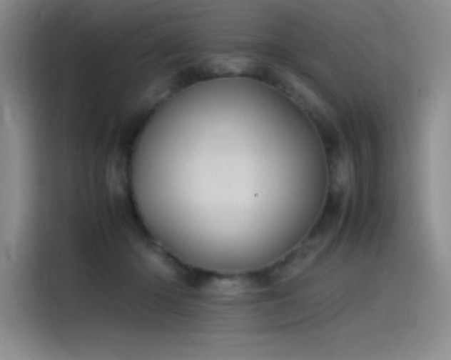 X0000116100414200911231129