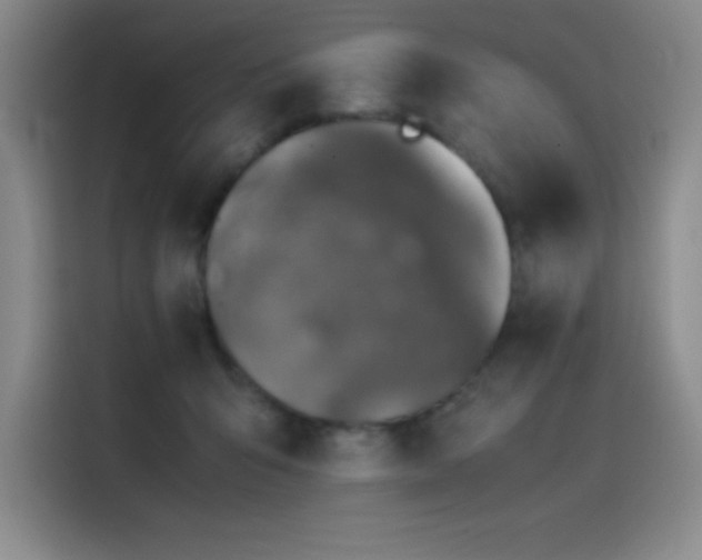 X0000116100415200911231129