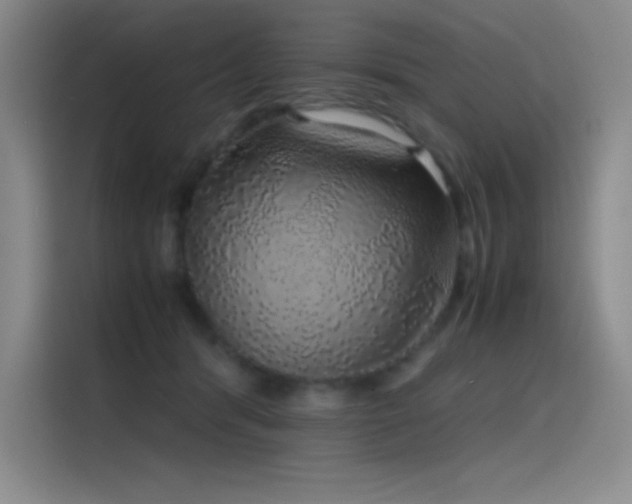 X0000116100416200911231129