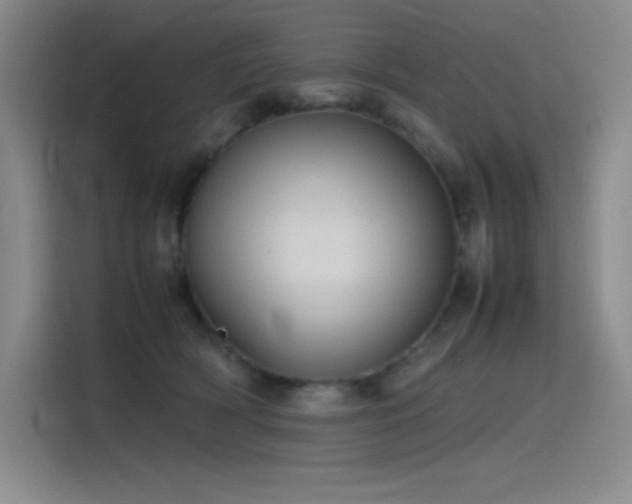 X0000116100418200911231129