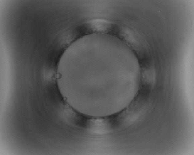 X0000116100419200911231129