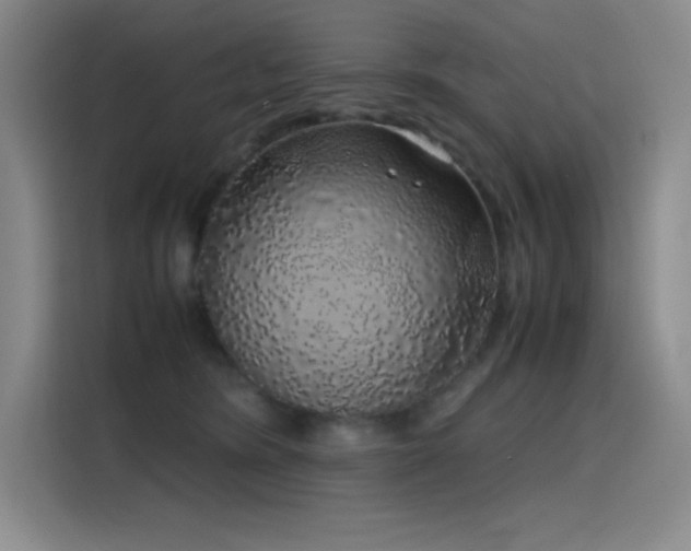 X0000116100420200911231129